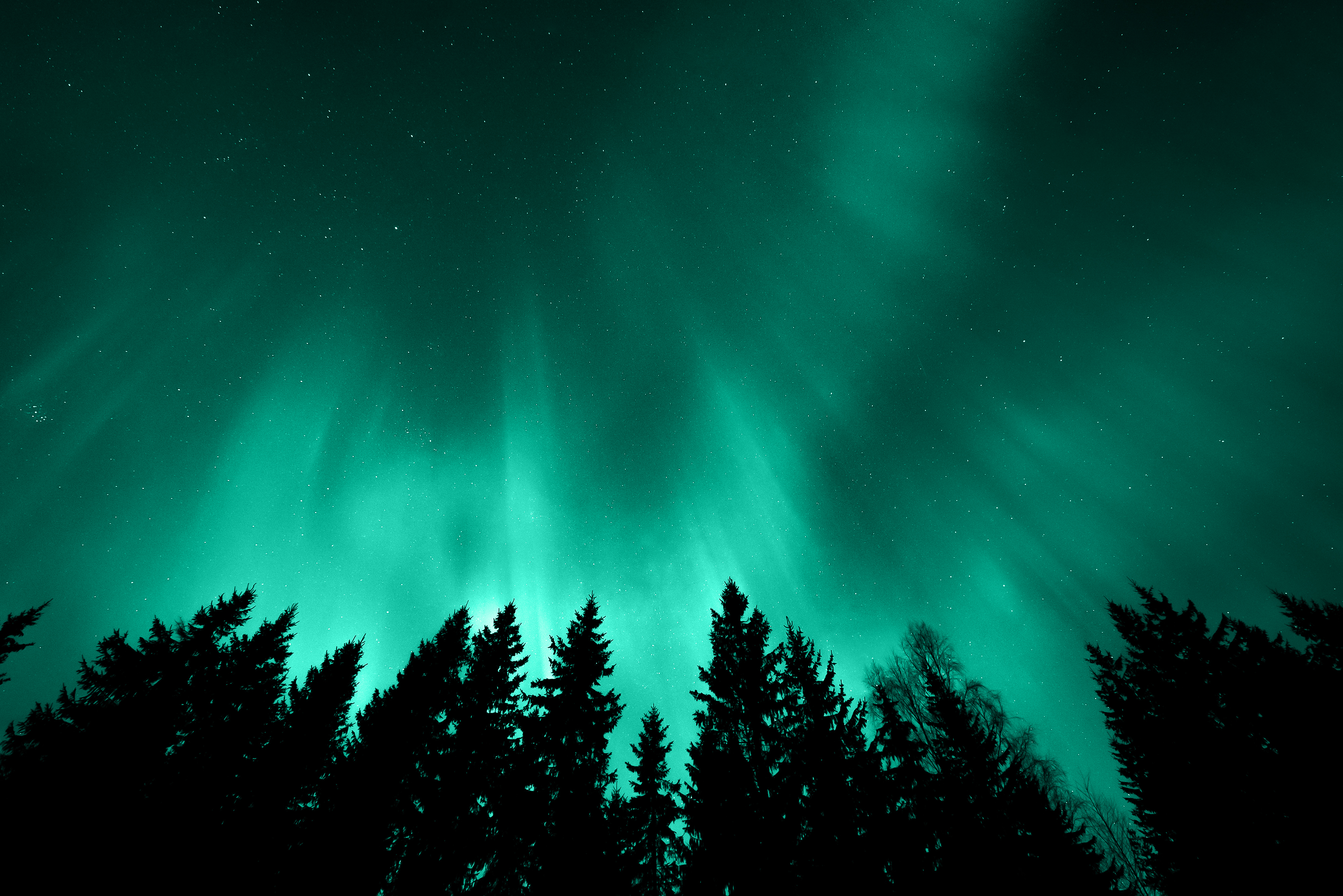 Aurora borealis trees v2 2021-07 green